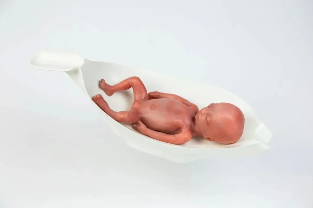 模拟“胎儿在人造子宫内”的模型